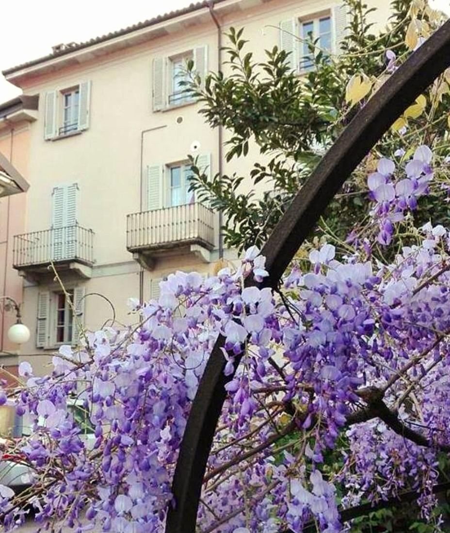 Casa Vacanze Stella Verbania Buitenkant foto